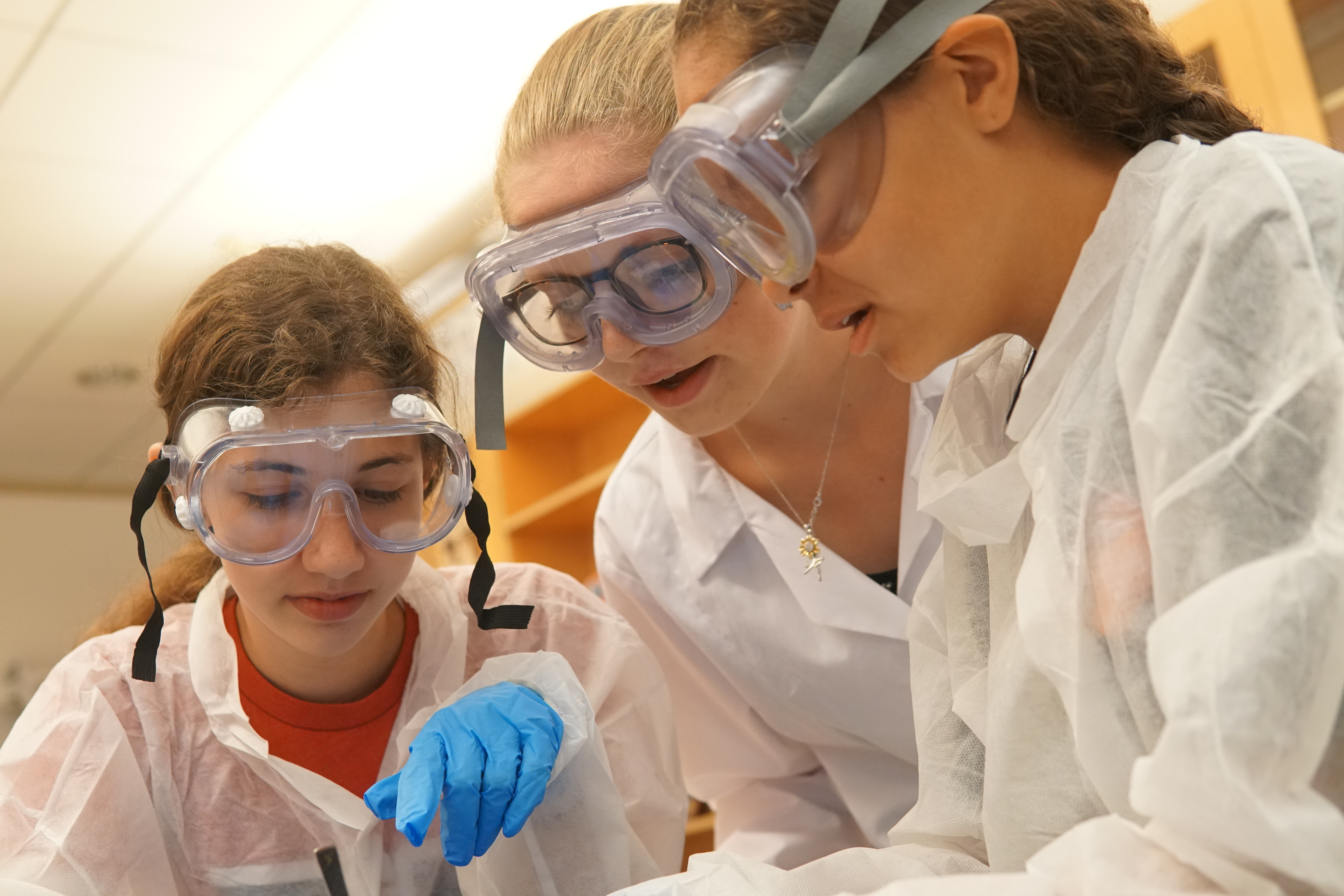 Veterinary Science Comparative Anatomy + Dissection