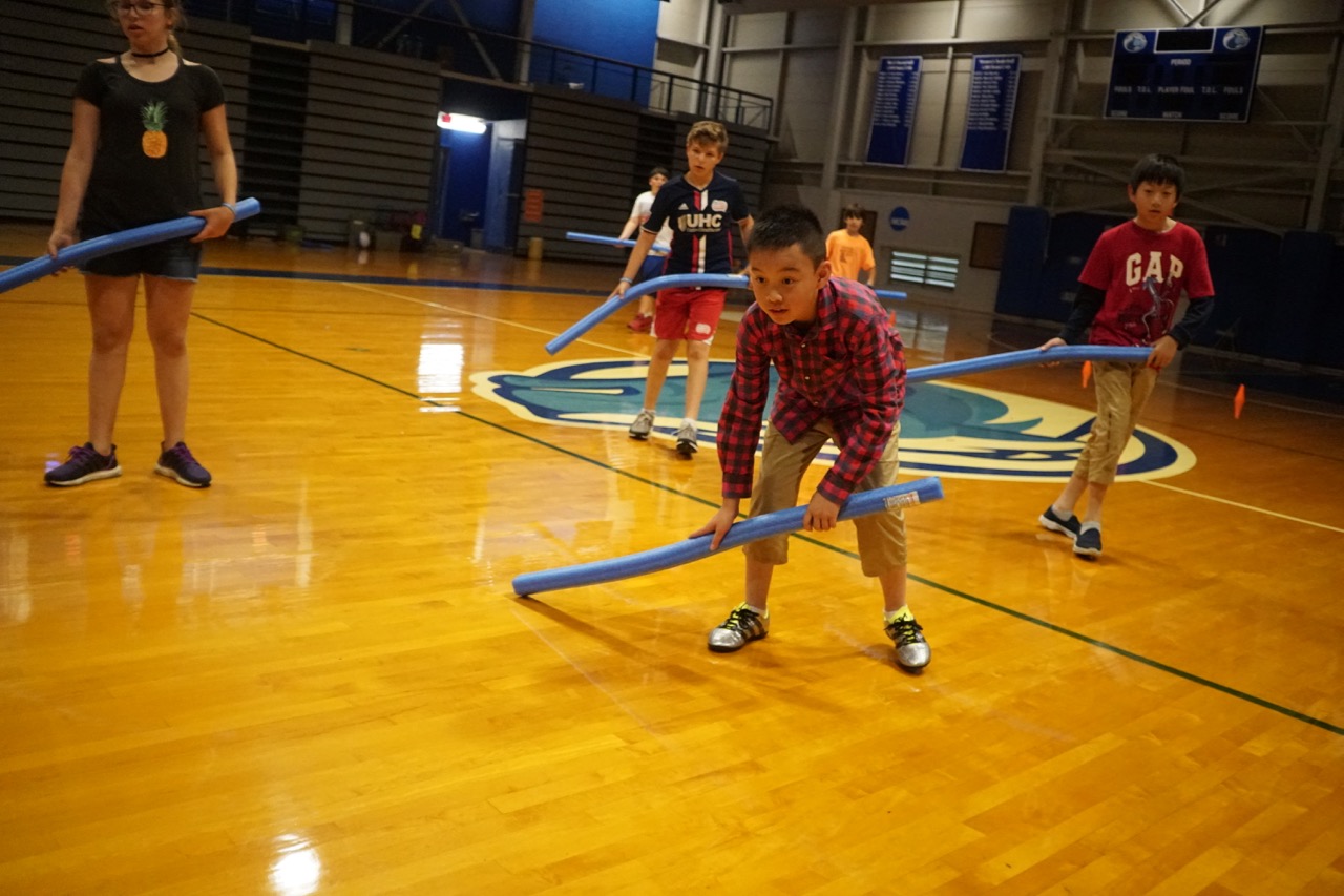 Activity Pool Noodle Hockey