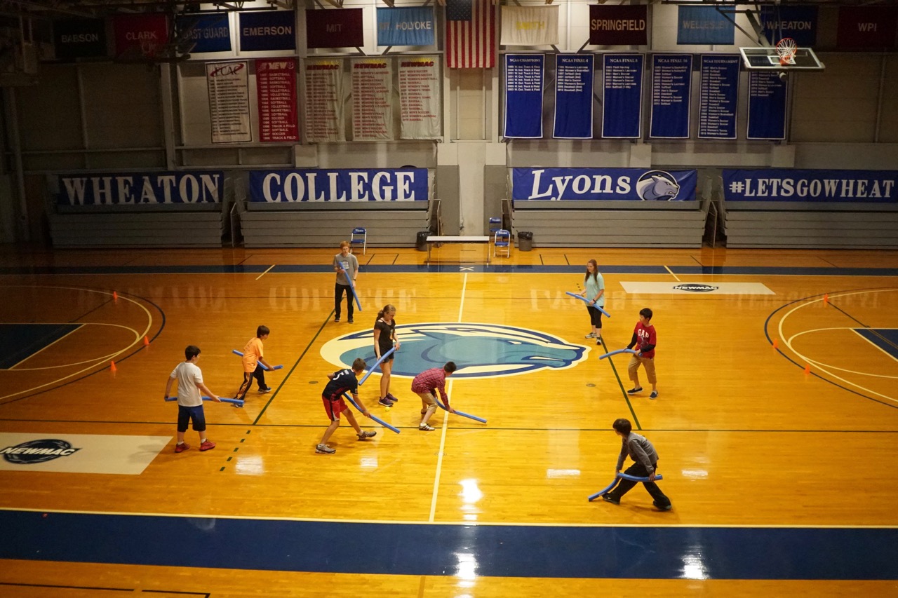 Activity Pool Noodle Hockey