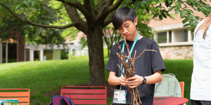 Student with gathered sticks