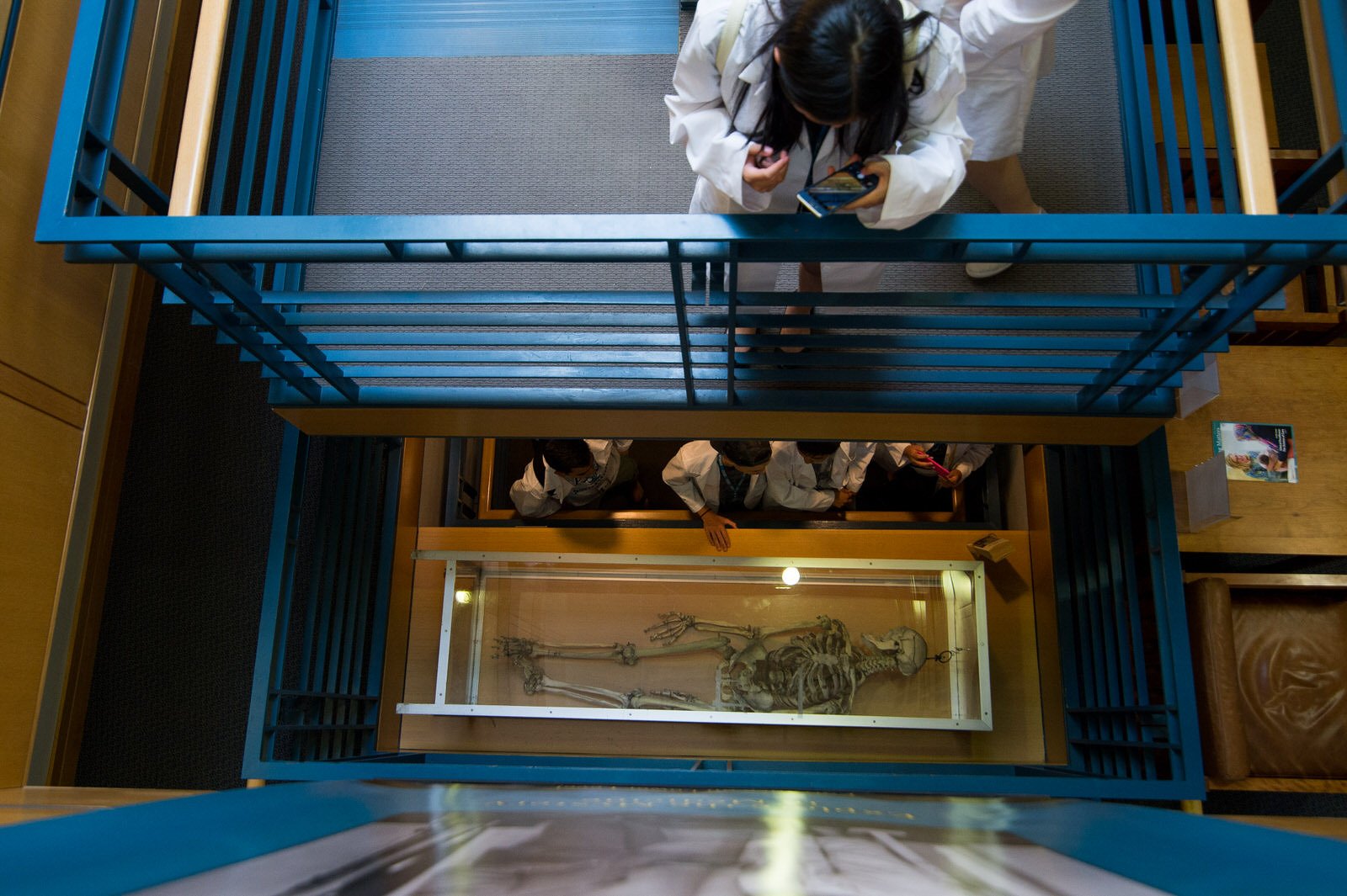 Brains in Jars Psychology + Neuroscience Students at the Cushing Center