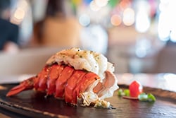 Maine Lobster_blog