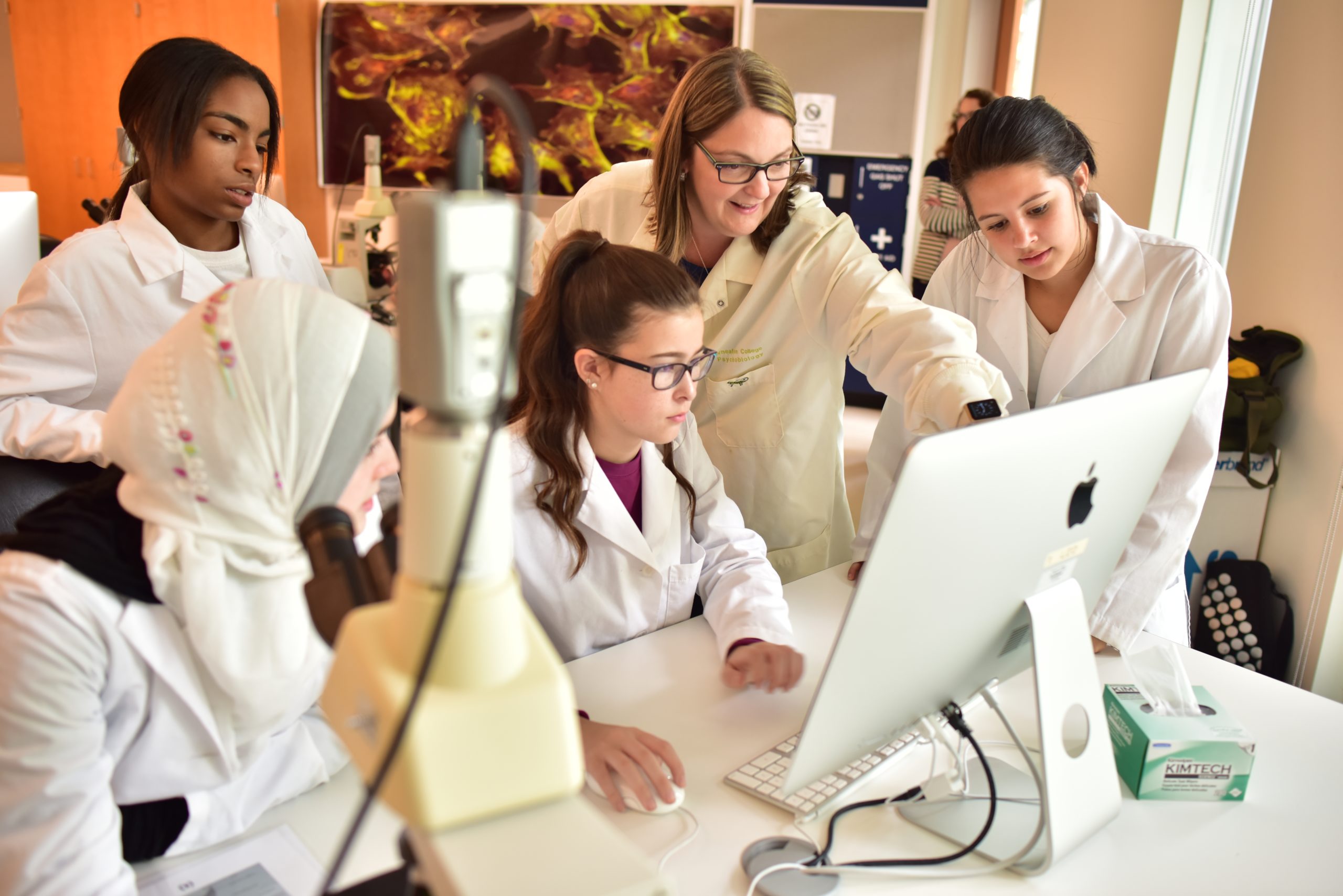 Bioengineering students work on microscopic imaging in a university lab