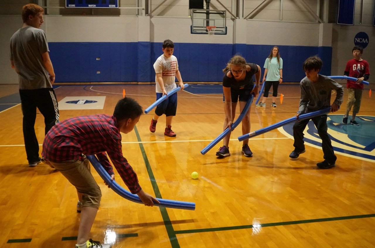 Activity Pool Noodle Hockey